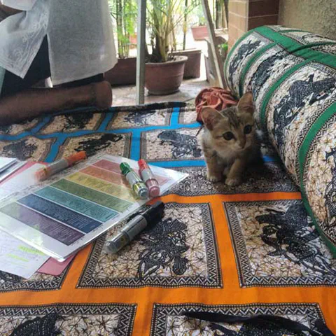 KittyKat commenting on how I presented the Energy Healing retreat in Cambodia